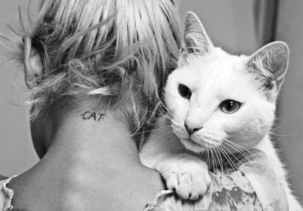 what cats really mean to us